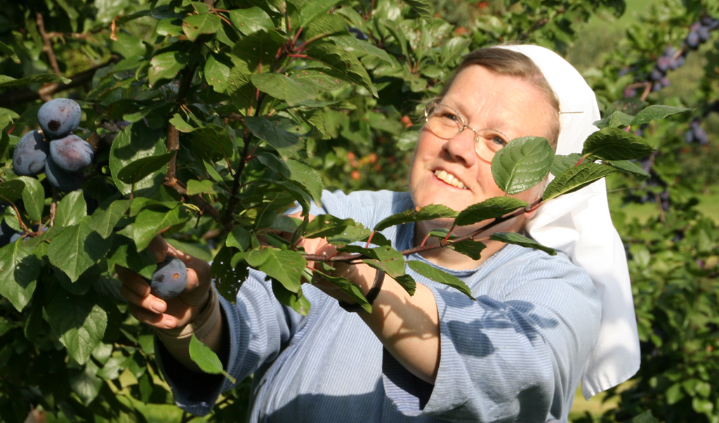 Beate Baumausschnitt