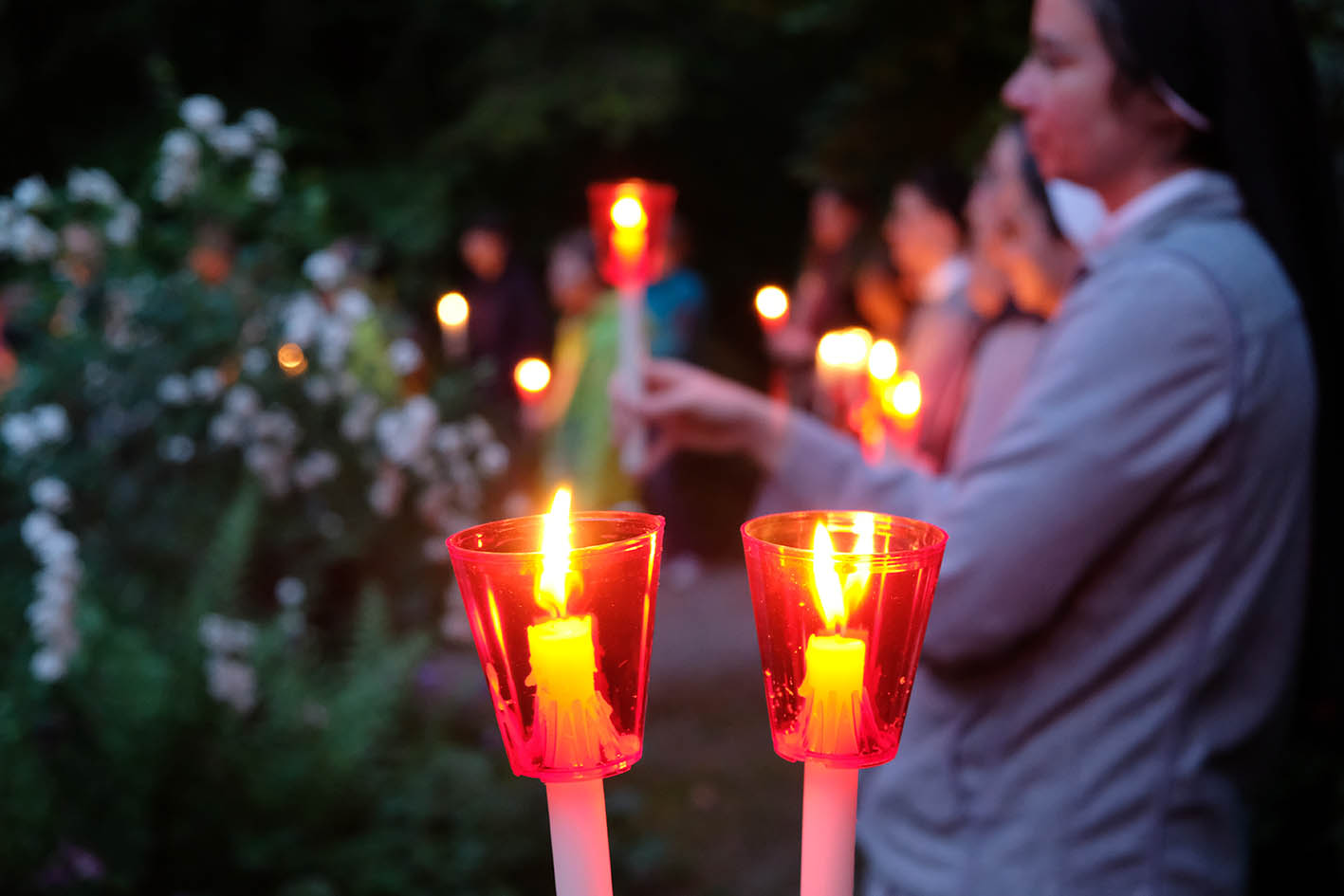 Lichtermeer im Garten