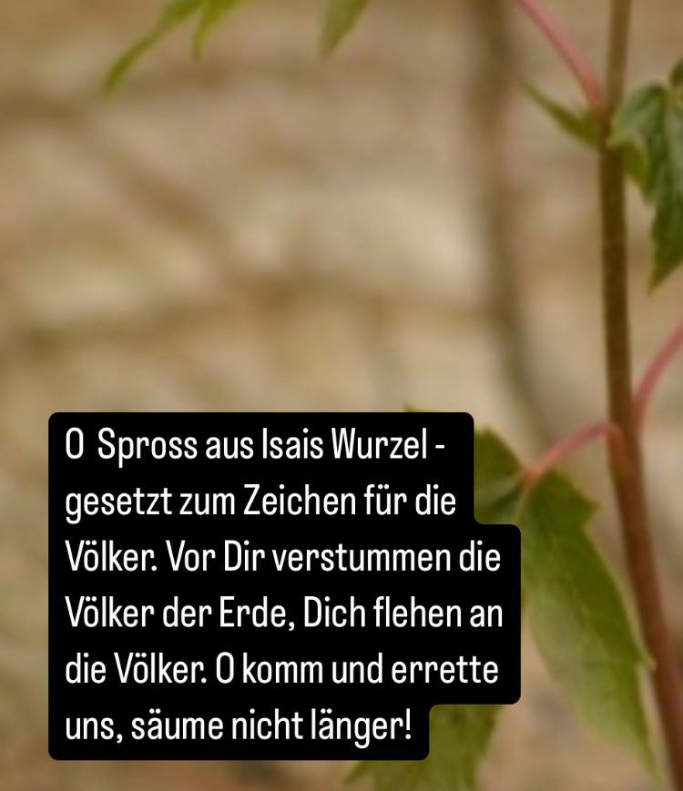 O-Antiphon4