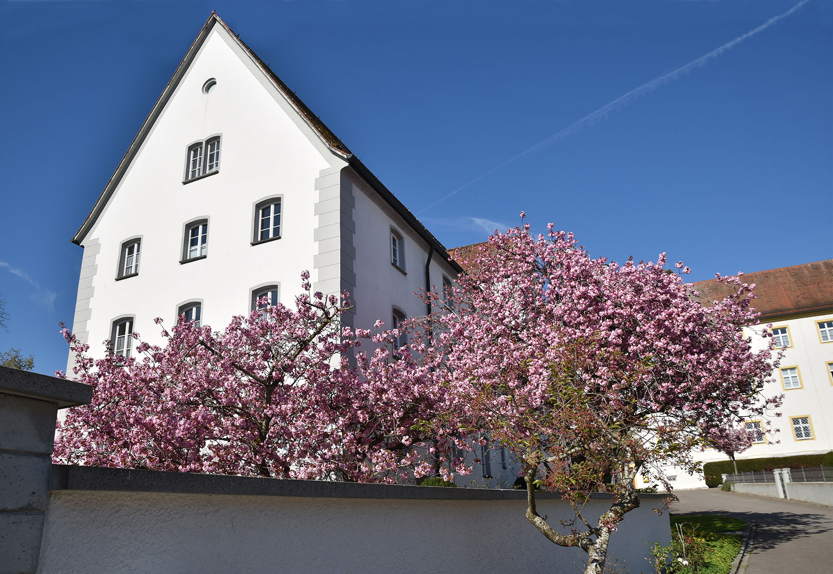 Haus Dominikus_DSC_0651web