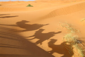 Bild: Ansgar Baumann; In: Pfarrbriefservice.de